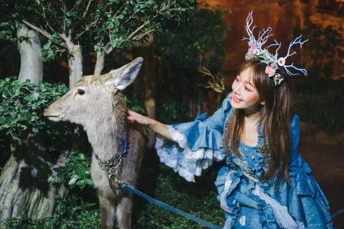 网红小鹿晗御林军,网红背后的神秘力量